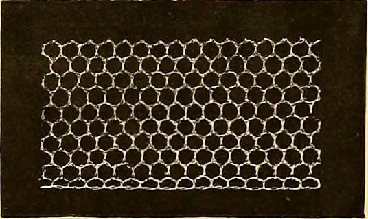 An illustration from The dictionary of needlework : an encyclopædia of artistic, plain, and fancy needlework ..., 1882, leaf 242