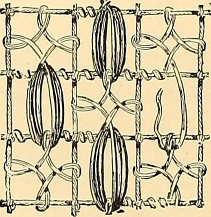 An illustration from The dictionary of needlework : an encyclopædia of artistic, plain, and fancy needlework ..., 1882, leaf 249