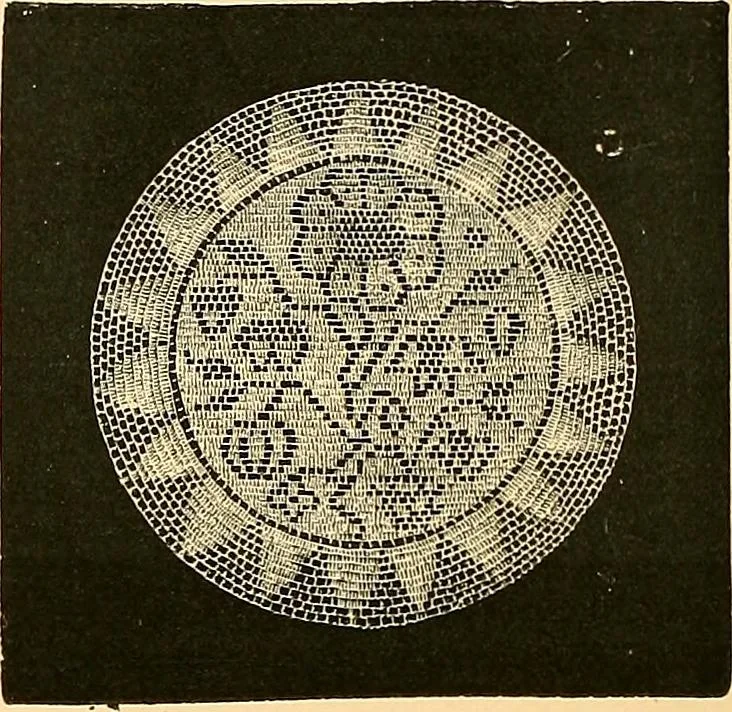 An illustration from The dictionary of needlework : an encyclopædia of artistic, plain, and fancy needlework ..., 1882, leaf 265