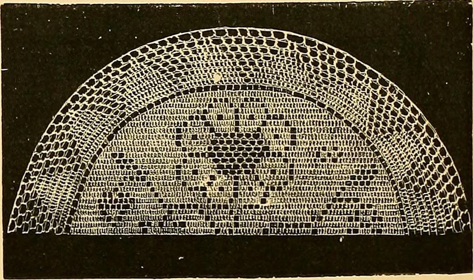 An illustration from The dictionary of needlework : an encyclopædia of artistic, plain, and fancy needlework ..., 1882, leaf 265