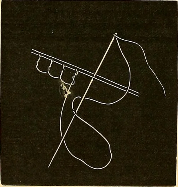 An illustration from The dictionary of needlework : an encyclopædia of artistic, plain, and fancy needlework ..., 1882, leaf 267