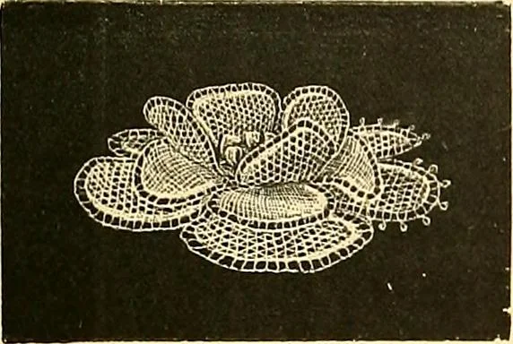 An illustration from The dictionary of needlework : an encyclopædia of artistic, plain, and fancy needlework ..., 1882, leaf 272