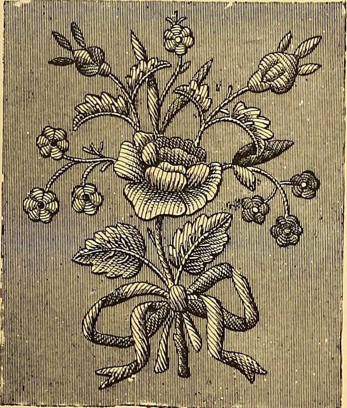 An illustration from The dictionary of needlework : an encyclopædia of artistic, plain, and fancy needlework ..., 1882, leaf 28