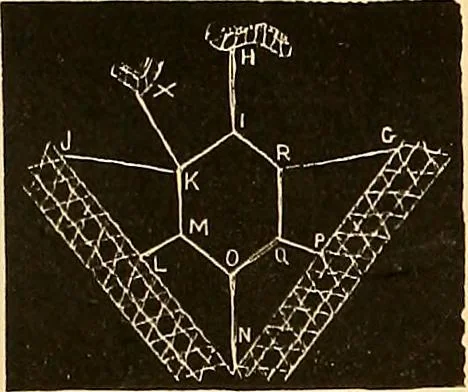 An illustration from The dictionary of needlework : an encyclopædia of artistic, plain, and fancy needlework ..., 1882, leaf 32