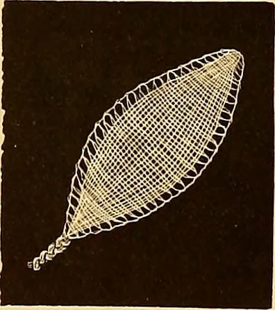 An illustration from The dictionary of needlework : an encyclopædia of artistic, plain, and fancy needlework ..., 1882, leaf 37