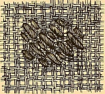 An illustration from The dictionary of needlework : an encyclopædia of artistic, plain, and fancy needlework ..., 1882, leaf 41