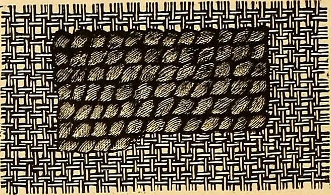 An illustration from The dictionary of needlework : an encyclopædia of artistic, plain, and fancy needlework ..., 1882, leaf 43