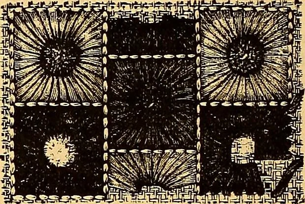 An illustration from The dictionary of needlework : an encyclopædia of artistic, plain, and fancy needlework ..., 1882, leaf 43