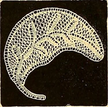 An illustration from The dictionary of needlework : an encyclopædia of artistic, plain, and fancy needlework ..., 1882, leaf 55