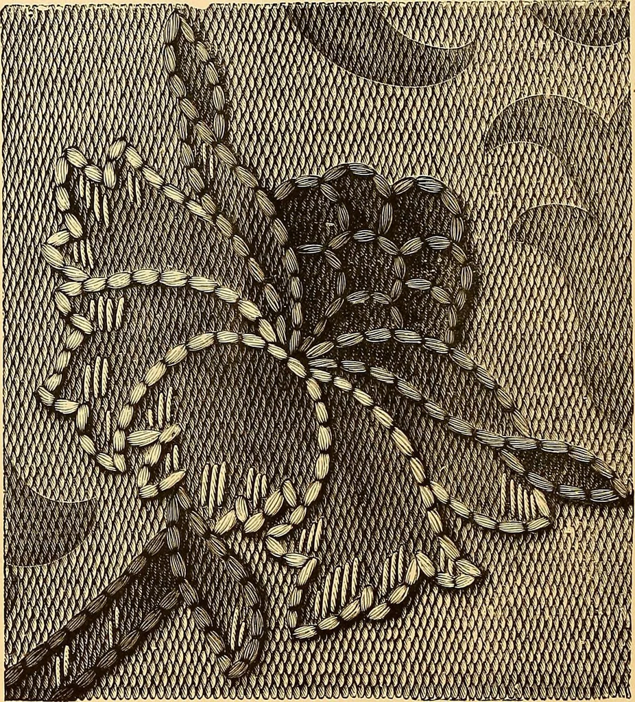 An illustration from The dictionary of needlework : an encyclopædia of artistic, plain, and fancy needlework ..., 1882, leaf 59