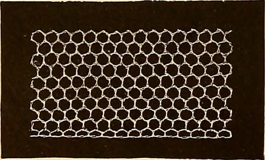 An illustration from The dictionary of needlework : an encyclopædia of artistic, plain, and fancy needlework ..., 1882, leaf 61