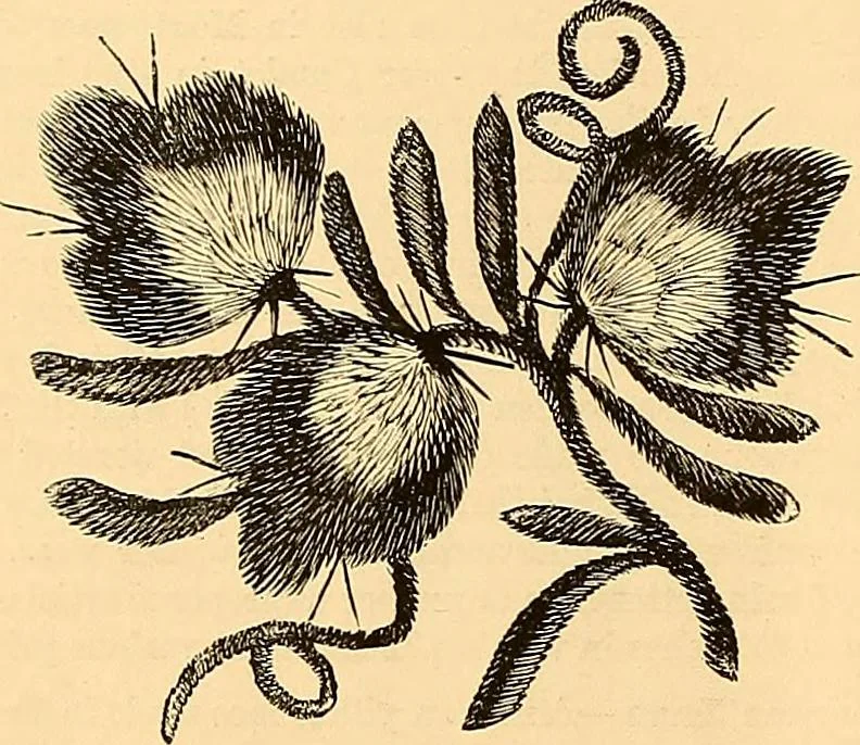 An illustration from The dictionary of needlework : an encyclopædia of artistic, plain, and fancy needlework ..., 1882, leaf 71