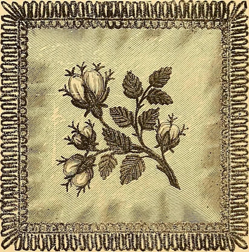 An illustration from The dictionary of needlework : an encyclopædia of artistic, plain, and fancy needlework ..., 1882, leaf 76