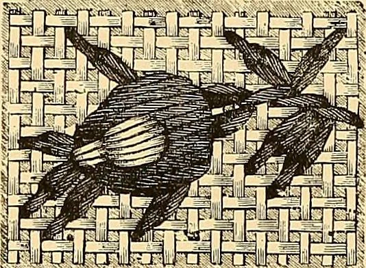 An illustration from The dictionary of needlework : an encyclopædia of artistic, plain, and fancy needlework ..., 1882, leaf 77