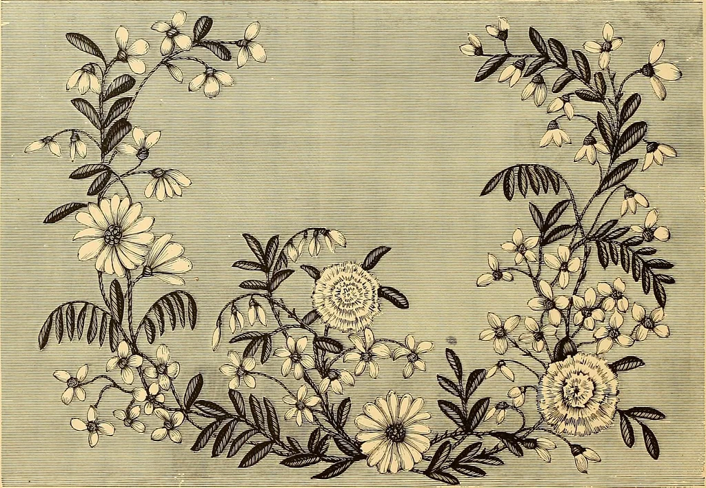 An illustration from The dictionary of needlework : an encyclopædia of artistic, plain, and fancy needlework ..., 1882, leaf 79
