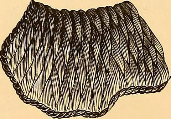 An illustration from The dictionary of needlework : an encyclopædia of artistic, plain, and fancy needlework ..., 1882, leaf 85