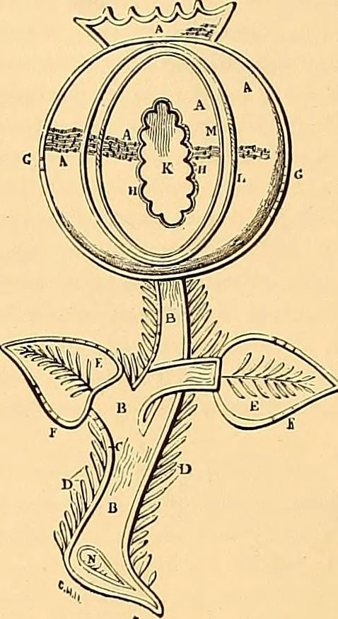 An illustration from The dictionary of needlework : an encyclopædia of artistic, plain, and fancy needlework ..., 1882, leaf 85