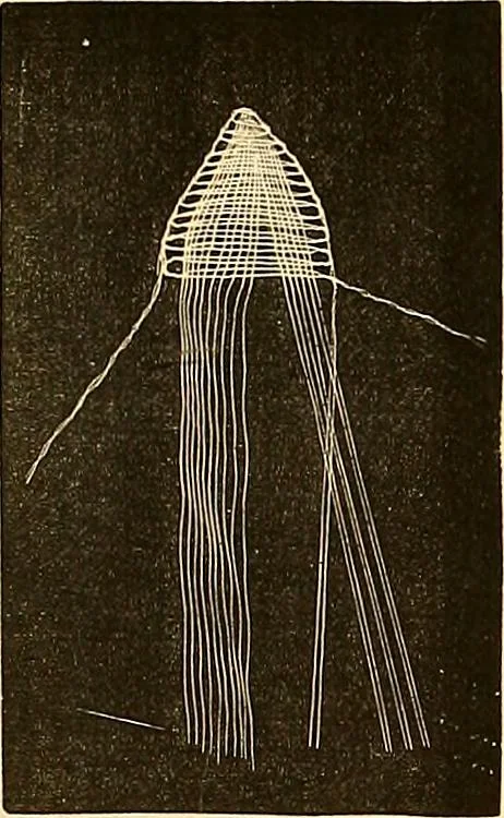 An illustration from The dictionary of needlework : an encyclopædia of artistic, plain, and fancy needlework ..., 1882, leaf 92