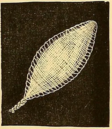 An illustration from The dictionary of needlework : an encyclopædia of artistic, plain, and fancy needlework ..., 1882, leaf 92
