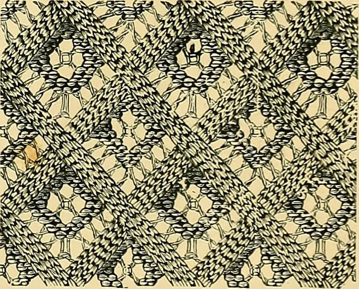 An illustration from The dictionary of needlework : an encyclopædia of artistic, plain, and fancy needlework ..., 1882, leaf 10