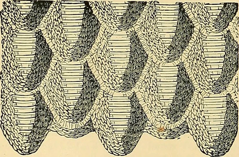 An illustration from The dictionary of needlework : an encyclopædia of artistic, plain, and fancy needlework ..., 1882, leaf 11