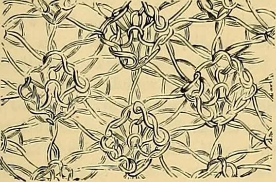 An illustration from The dictionary of needlework : an encyclopædia of artistic, plain, and fancy needlework ..., 1882, leaf 12