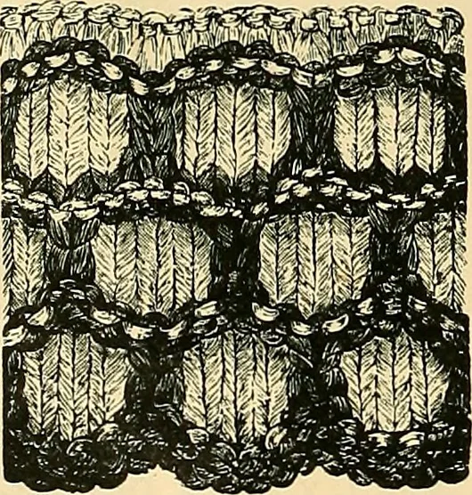 An illustration from The dictionary of needlework : an encyclopædia of artistic, plain, and fancy needlework ..., 1882, leaf 13