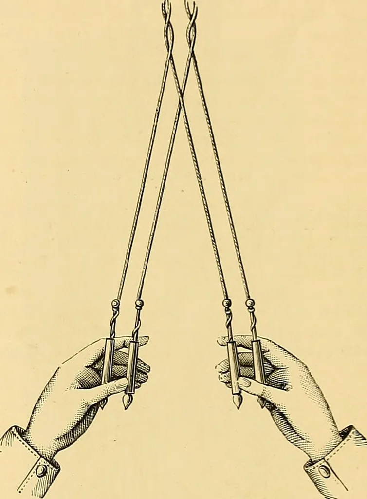 An illustration from The dictionary of needlework : an encyclopædia of artistic, plain, and fancy needlework ..., 1882, leaf 156