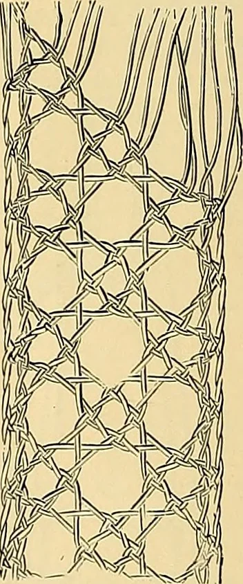 An illustration from The dictionary of needlework : an encyclopædia of artistic, plain, and fancy needlework ..., 1882, leaf 157