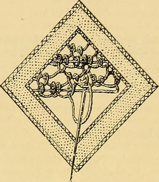 An illustration from The dictionary of needlework : an encyclopædia of artistic, plain, and fancy needlework ..., 1882, leaf 170