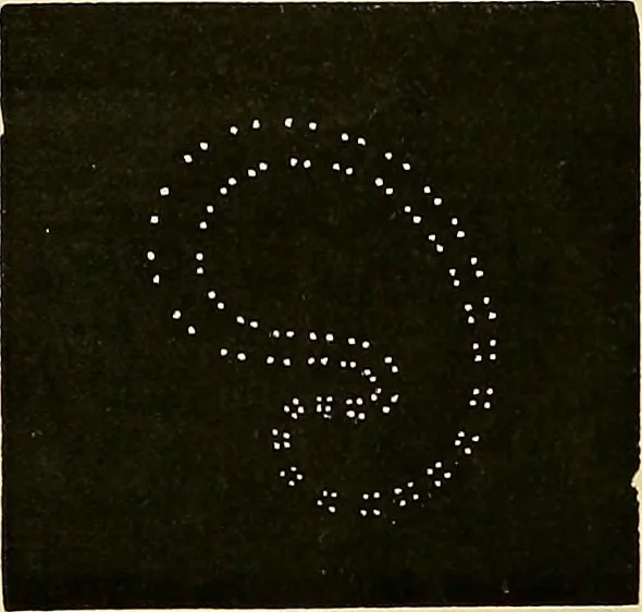 An illustration from The dictionary of needlework : an encyclopædia of artistic, plain, and fancy needlework ..., 1882, leaf 173