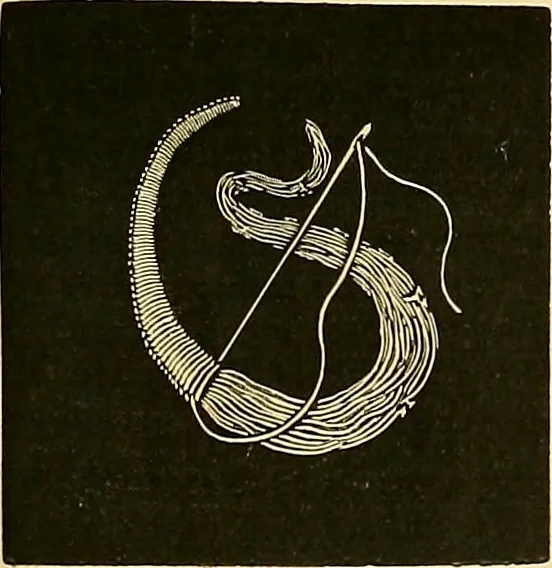 An illustration from The dictionary of needlework : an encyclopædia of artistic, plain, and fancy needlework ..., 1882, leaf 174