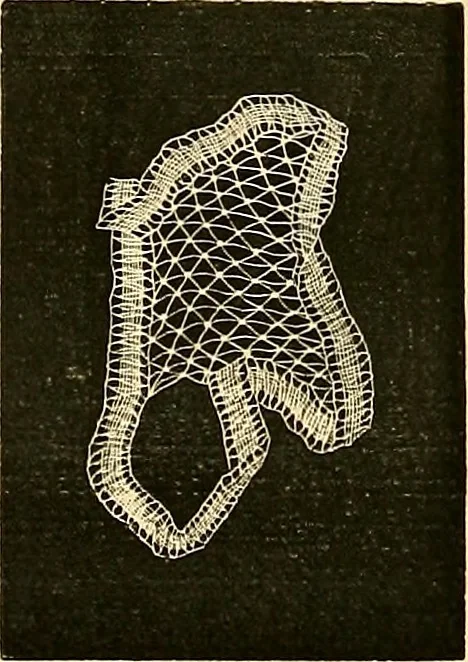An illustration from The dictionary of needlework : an encyclopædia of artistic, plain, and fancy needlework ..., 1882, leaf 177