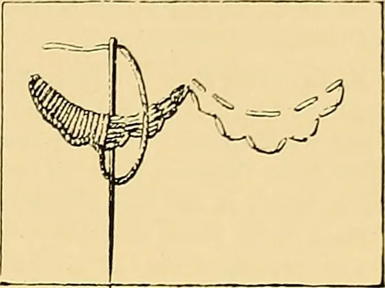An illustration from The dictionary of needlework : an encyclopædia of artistic, plain, and fancy needlework ..., 1882, leaf 186