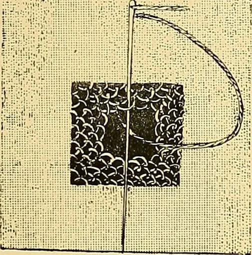 An illustration from The dictionary of needlework : an encyclopædia of artistic, plain, and fancy needlework ..., 1882, leaf 186