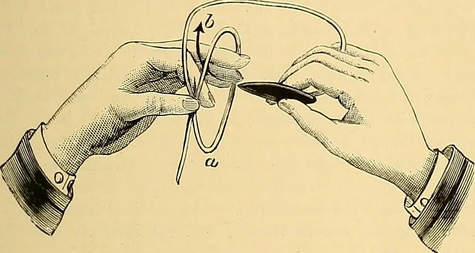 An illustration from The dictionary of needlework : an encyclopædia of artistic, plain, and fancy needlework ..., 1882, leaf 194