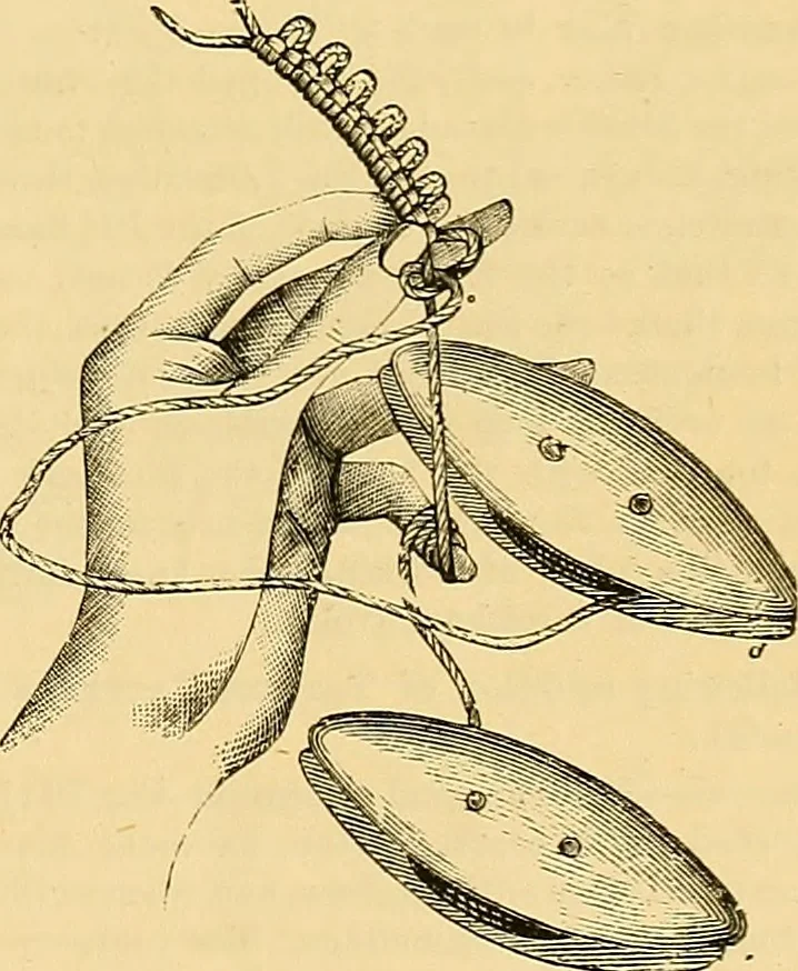 An illustration from The dictionary of needlework : an encyclopædia of artistic, plain, and fancy needlework ..., 1882, leaf 196