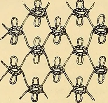 An illustration from The dictionary of needlework : an encyclopædia of artistic, plain, and fancy needlework ..., 1882, leaf 201