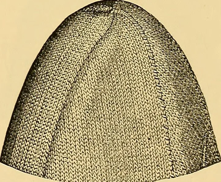 An illustration from The dictionary of needlework : an encyclopædia of artistic, plain, and fancy needlework ..., 1882, leaf 22