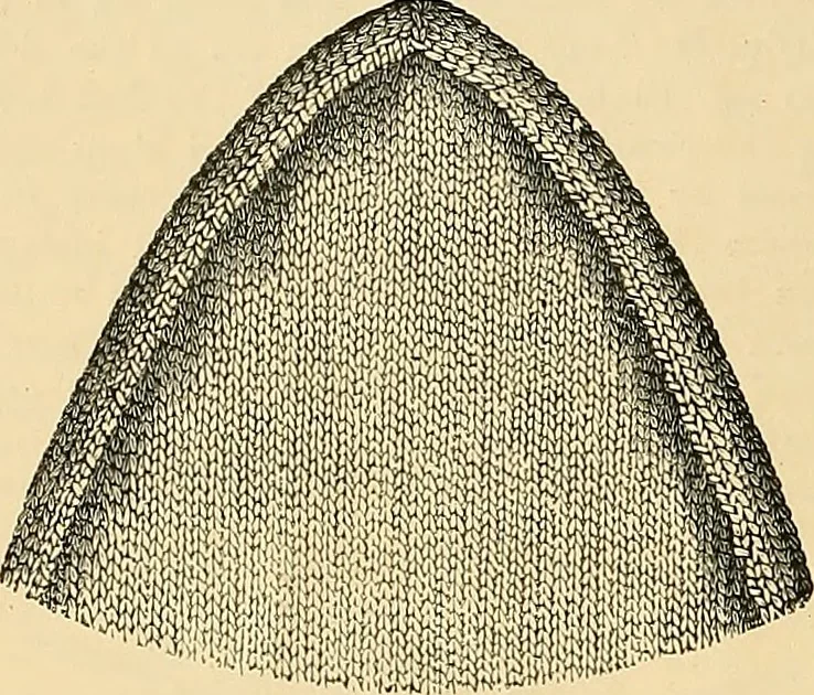 An illustration from The dictionary of needlework : an encyclopædia of artistic, plain, and fancy needlework ..., 1882, leaf 23