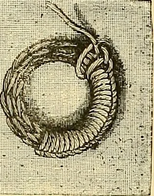 An illustration from The dictionary of needlework : an encyclopædia of artistic, plain, and fancy needlework ..., 1882, leaf 235
