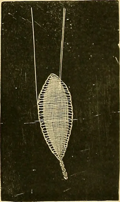An illustration from The dictionary of needlework : an encyclopædia of artistic, plain, and fancy needlework ..., 1882, leaf 24