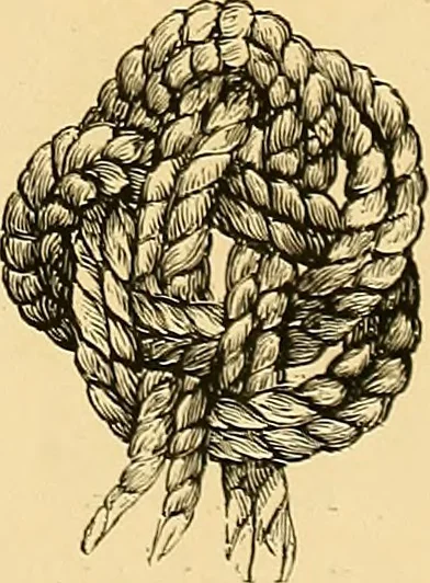 An illustration from The dictionary of needlework : an encyclopædia of artistic, plain, and fancy needlework ..., 1882, leaf 26