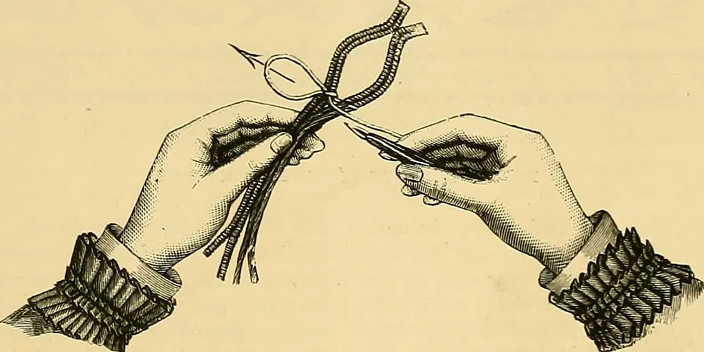 An illustration from The dictionary of needlework : an encyclopædia of artistic, plain, and fancy needlework ..., 1882, leaf 30