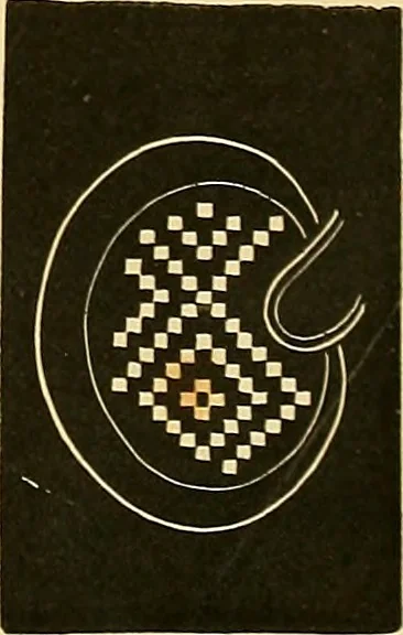 An illustration from The dictionary of needlework : an encyclopædia of artistic, plain, and fancy needlework ..., 1882, leaf 38
