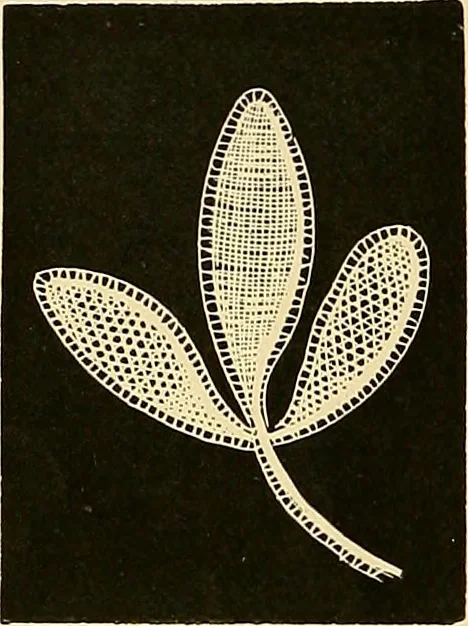 An illustration from The dictionary of needlework : an encyclopædia of artistic, plain, and fancy needlework ..., 1882, leaf 41