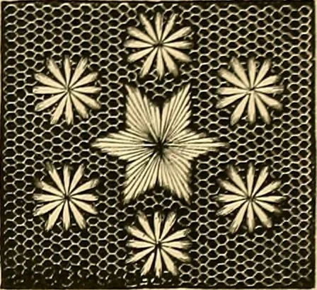An illustration from The dictionary of needlework : an encyclopædia of artistic, plain, and fancy needlework ..., 1882, leaf 72