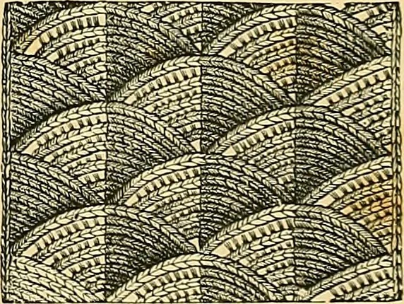 An illustration from The dictionary of needlework : an encyclopædia of artistic, plain, and fancy needlework ..., 1882, leaf 8