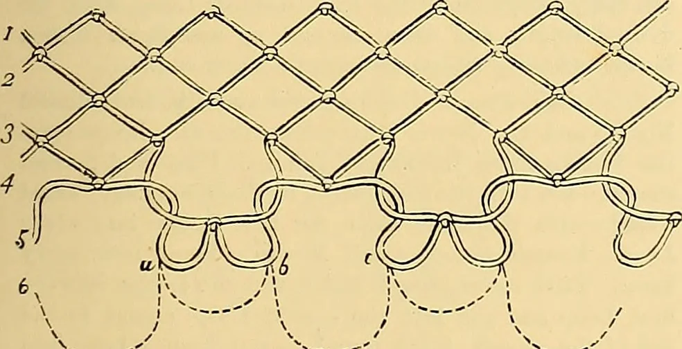 An illustration from The dictionary of needlework : an encyclopædia of artistic, plain, and fancy needlework ..., 1882, leaf 80