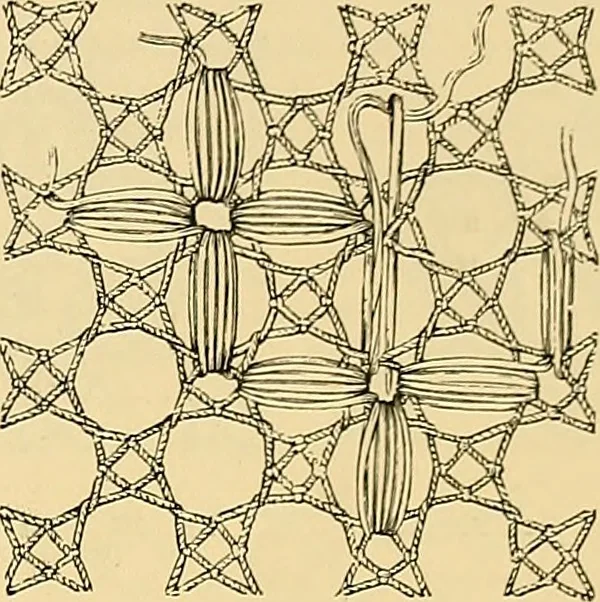 An illustration from The dictionary of needlework : an encyclopædia of artistic, plain, and fancy needlework ..., 1882, leaf 80